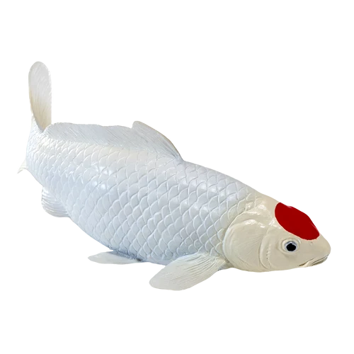 MOJO - Koi Carp - Tancho