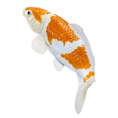 MOJO - Koi Carp - Ochiba Shigure