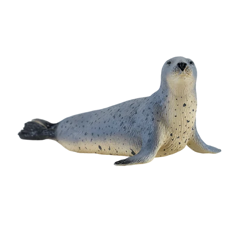 MOJO - Grey Seal
