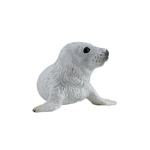 MOJO - Grey Seal Pup