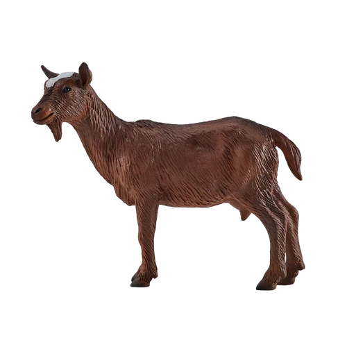 MOJO - Nanny Goat