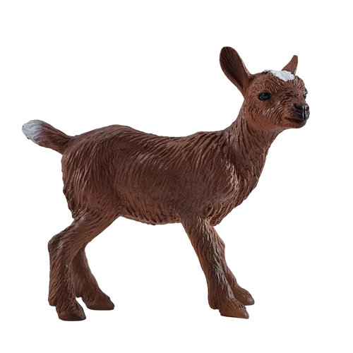 MOJO - Kid Goat