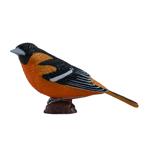 MOJO - Northern Oriole