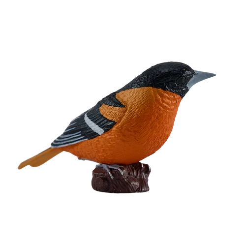 MOJO - Northern Oriole