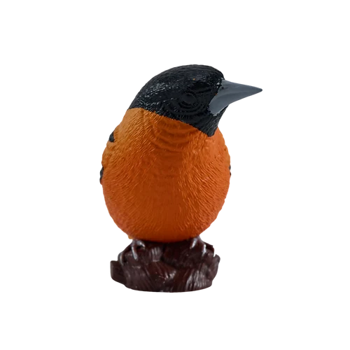 MOJO - Northern Oriole