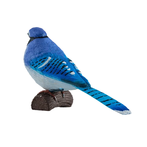 MOJO - BlueJay