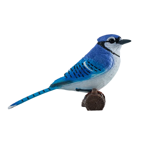 MOJO - BlueJay