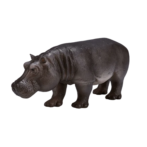 MOJO - Hippopotamus Female