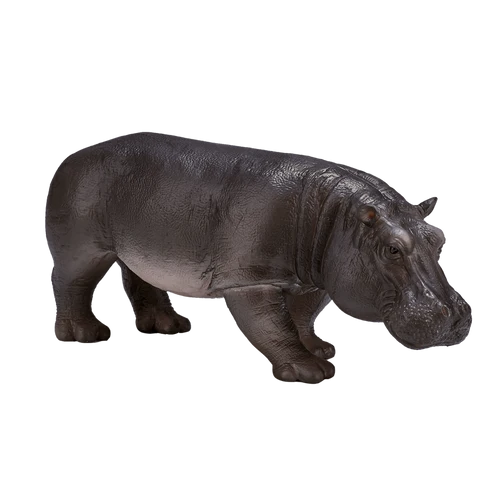 MOJO - Hippopotamus Female