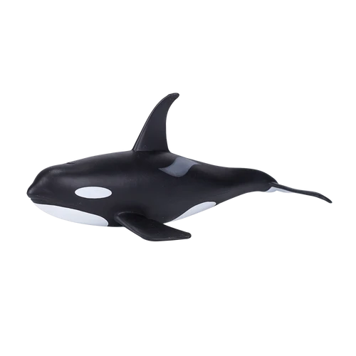 MOJO - Male Orca
