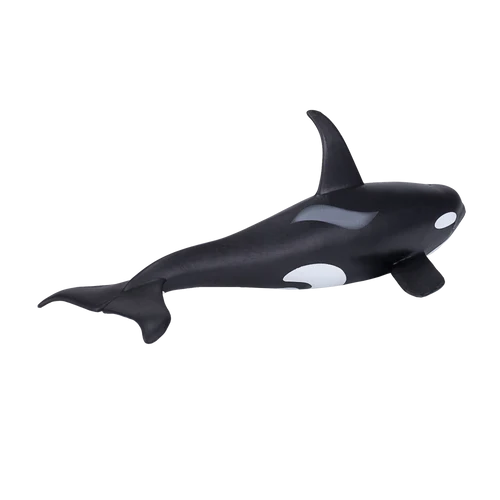 MOJO - Male Orca