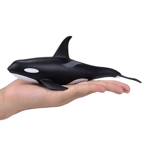 MOJO - Male Orca