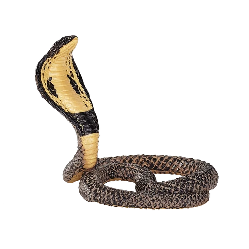MOJO - King Cobra