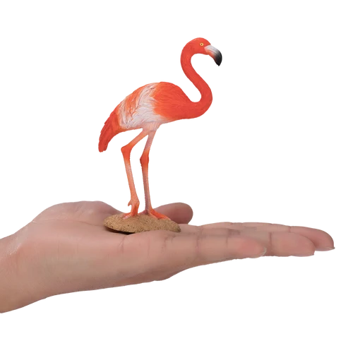 MOJO - American Flamingo