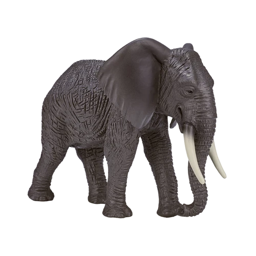MOJO - African Elephant