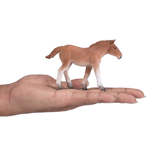 Mojo Suffock Punch Foal