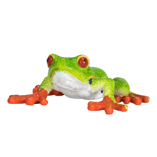 MOJO - Red Eyed Tree Frog