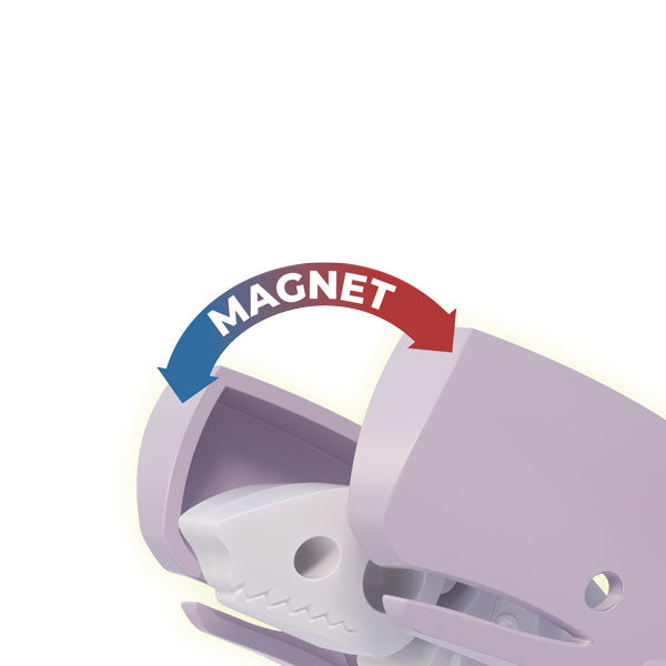 Halftoys Picture book - Sperm Whale