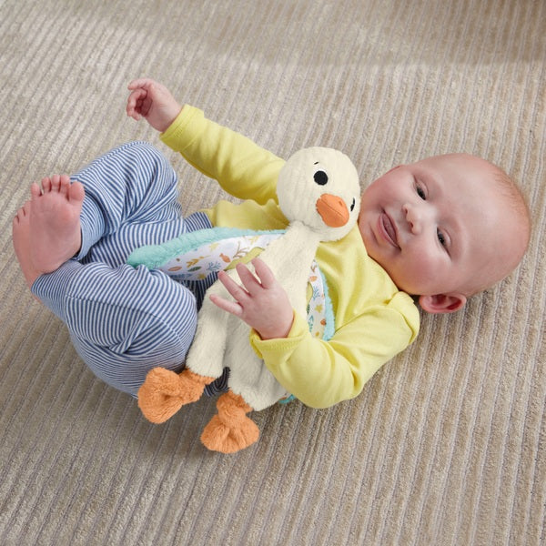 Fisher Price Snuggle Up Goose