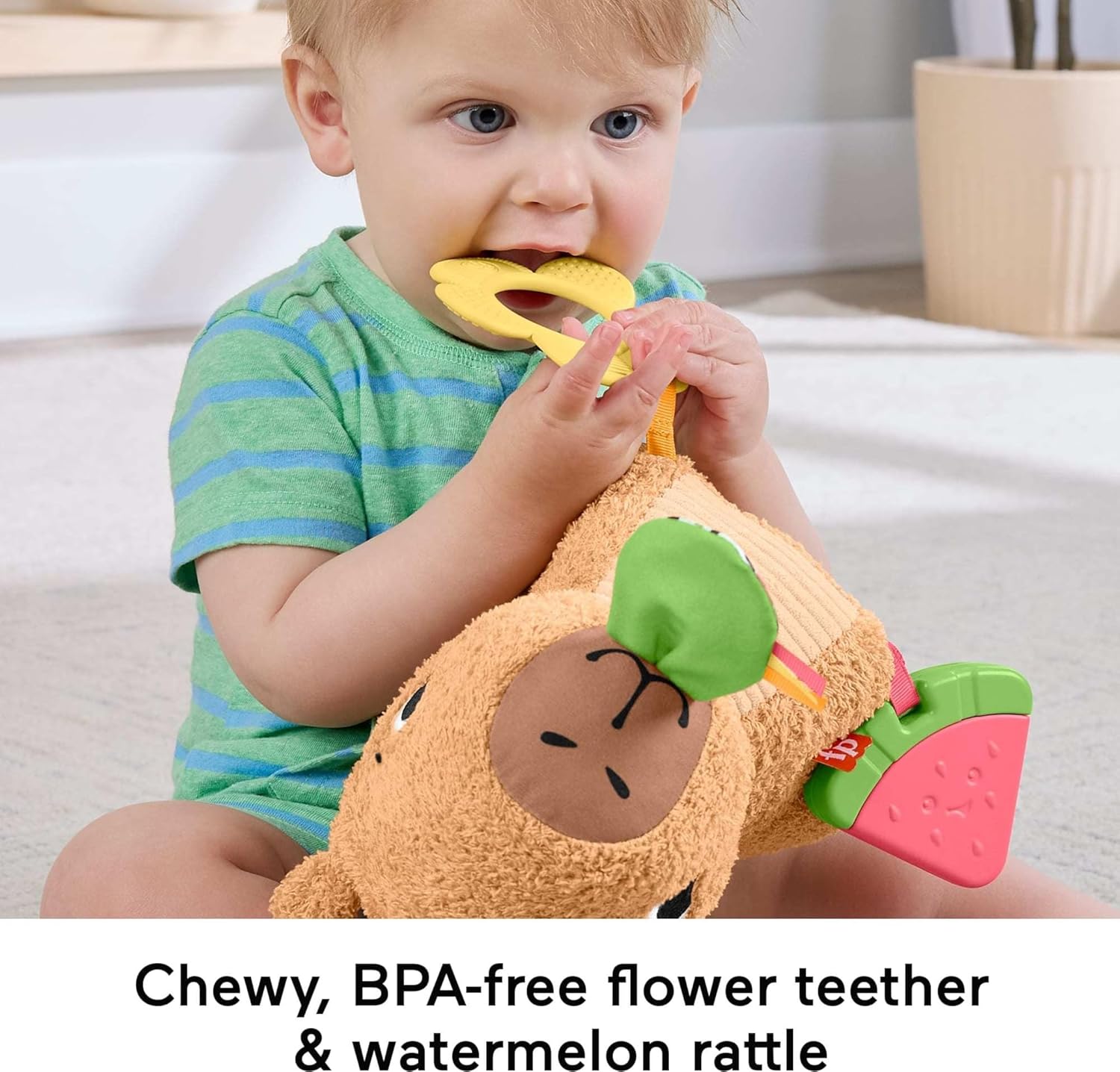Fisher-Price Baby Snuggly Snacky Capybara