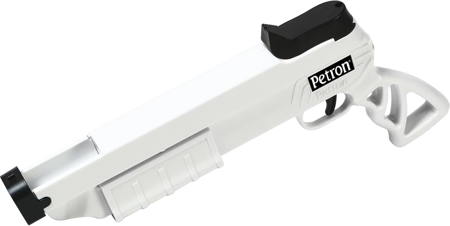 Stealth Pistol
