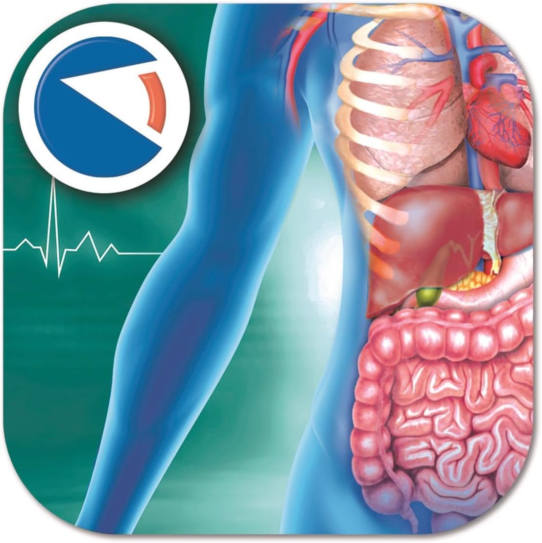 Clementoni Super Anatomy Set