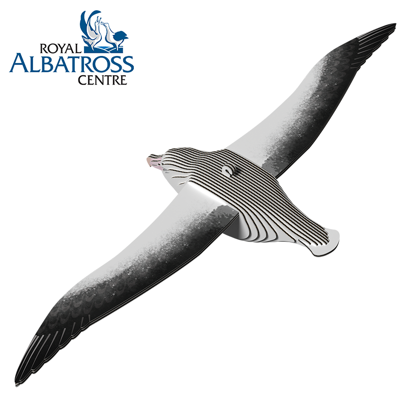 EUGY Royal Albatross