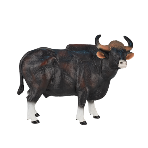 MOJO - Gaur Bull
