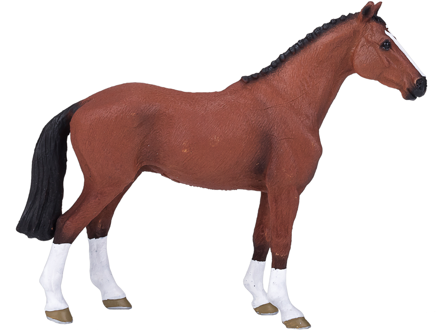 MOJO - Dutch Warmblod - Portugal