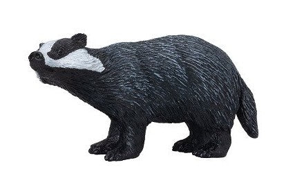 MOJO - European Badger