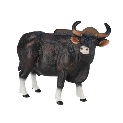 MOJO - Gaur Bull