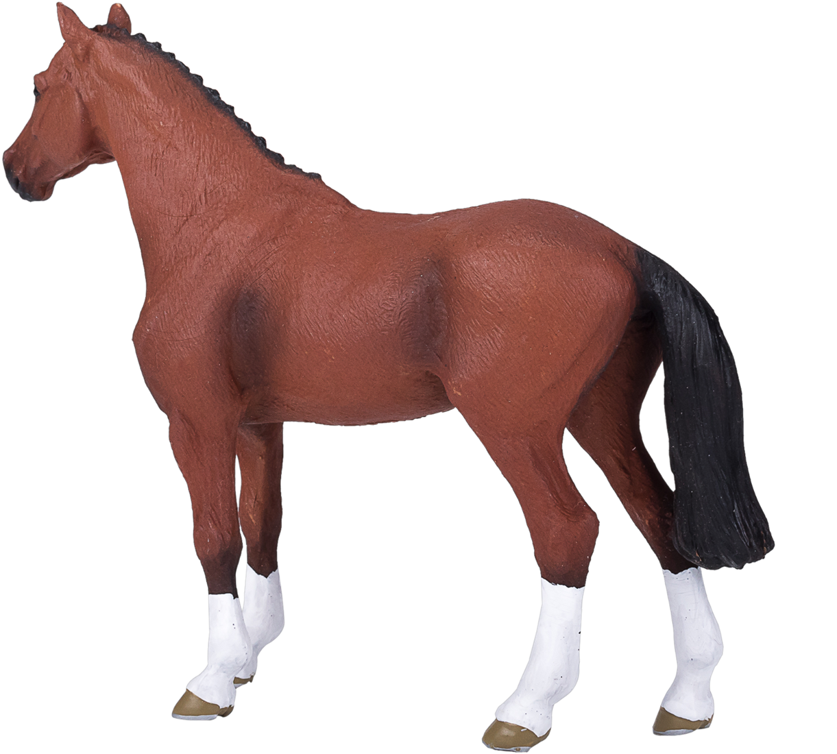 MOJO - Dutch Warmblod - Portugal