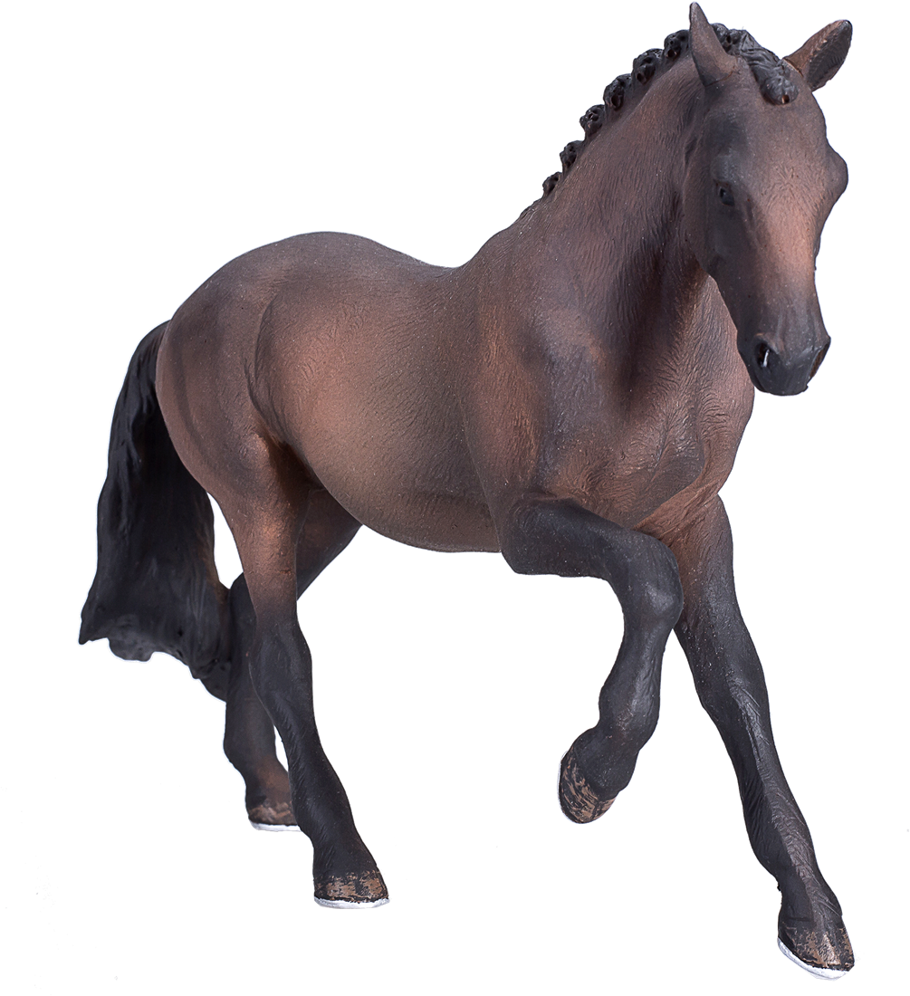 MOJO - Hanoverian Bay - Portugal