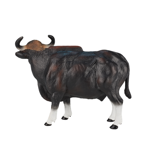 MOJO - Gaur Bull