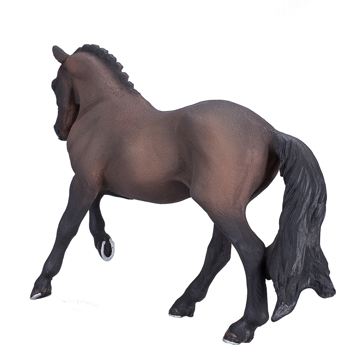 MOJO - Hanoverian Bay - Portugal