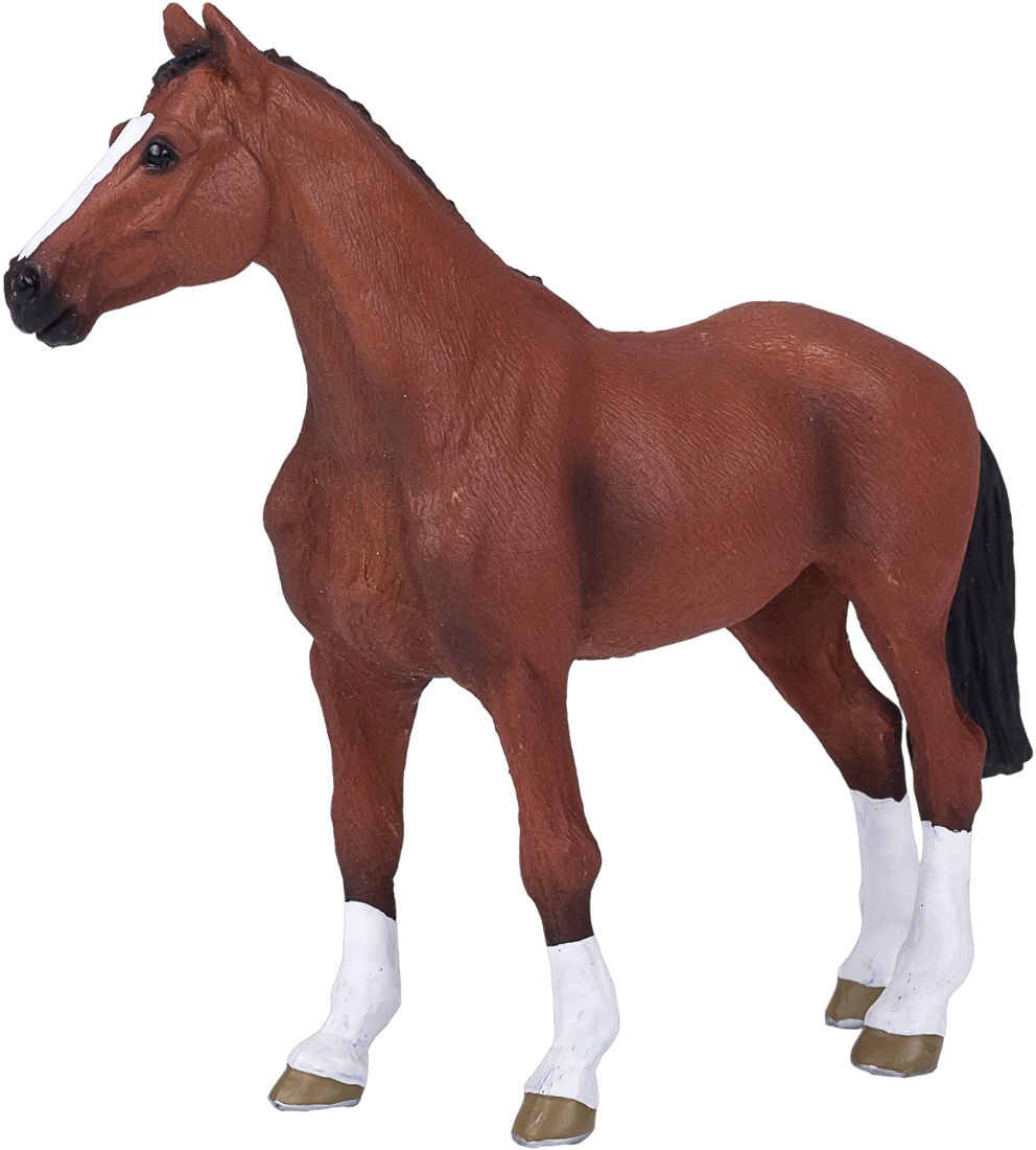 MOJO - Dutch Warmblod - Portugal