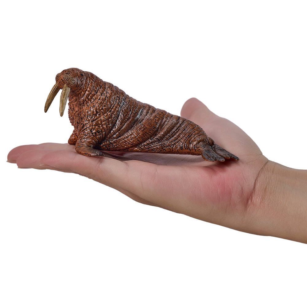 MOJO - Walrus