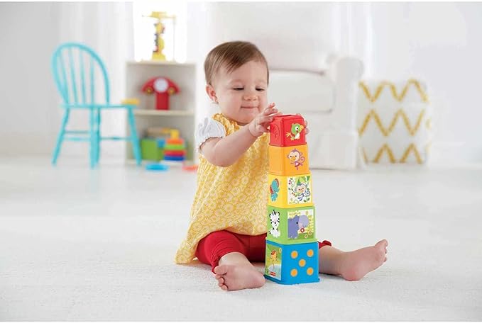 Fisher Price Stack and Explore Blocks