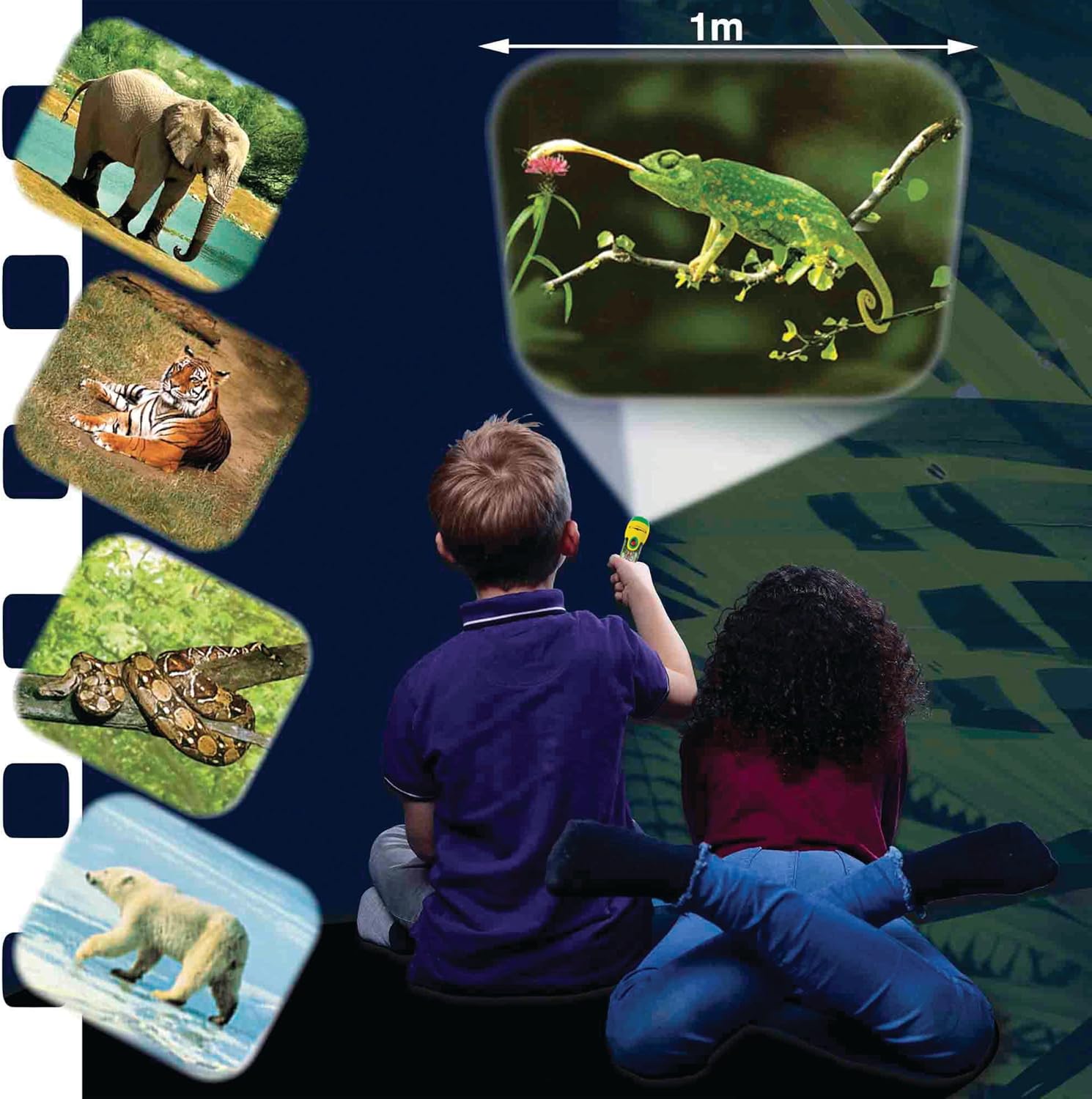 Animals Torch & Projector
