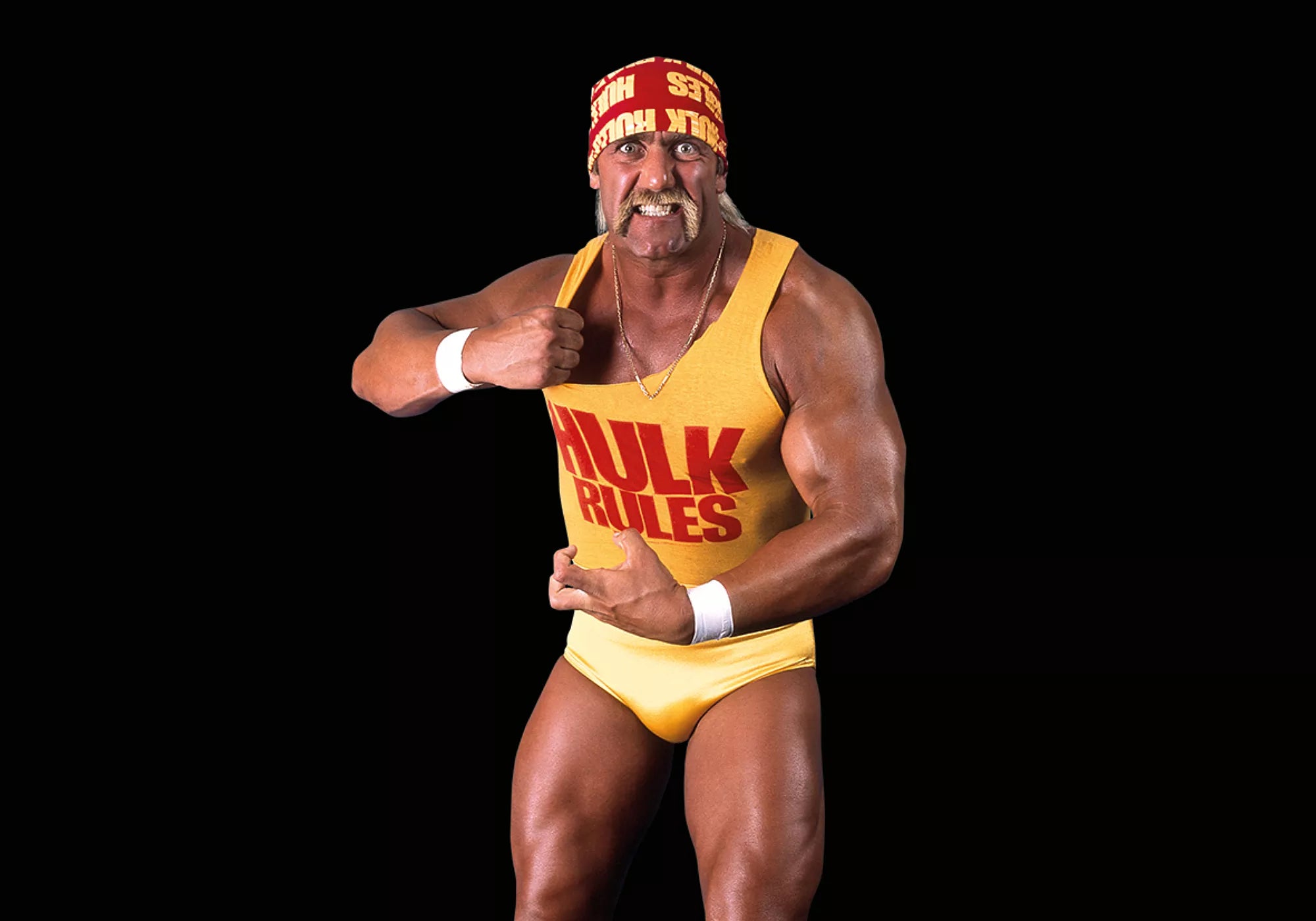 Playmobil WWE Hulk Hogan Figure