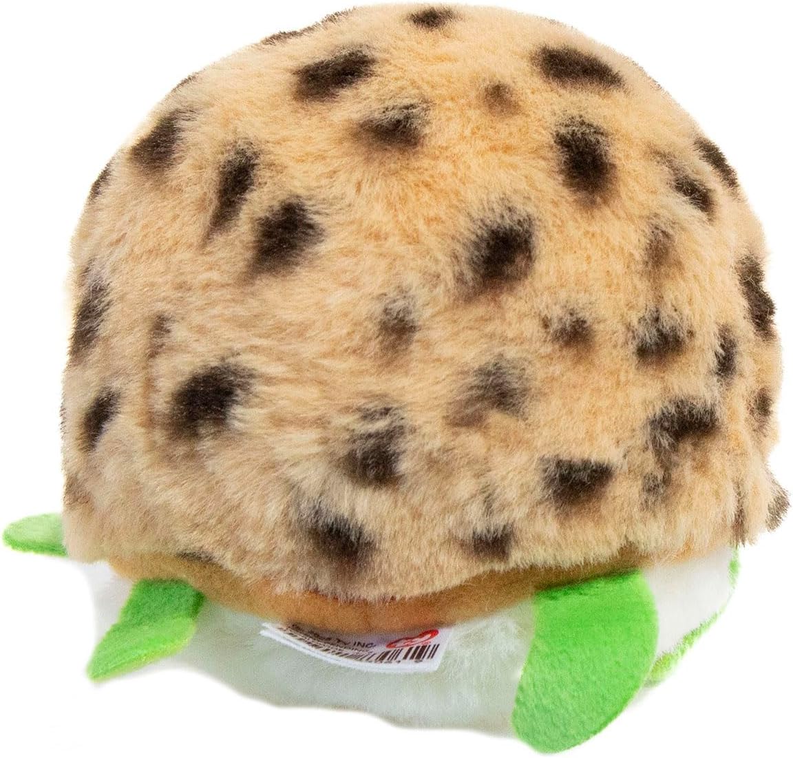 TY Cruiser Turtle Bouncer