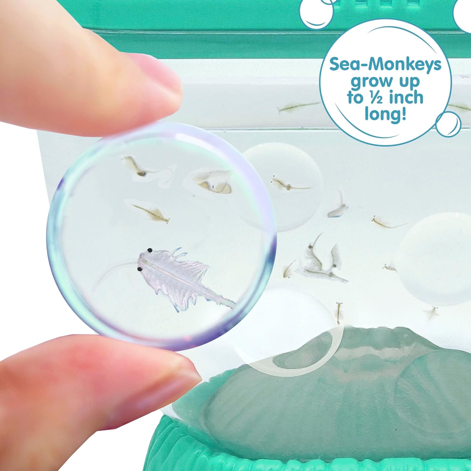 Sea Monkeys Ocean Volcano Playset