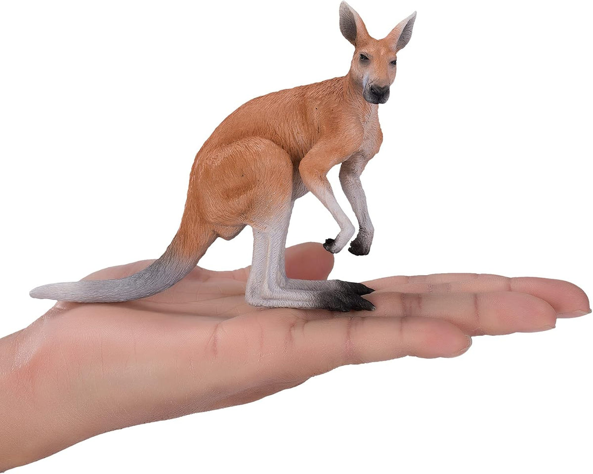 MOJO - Kangaroo