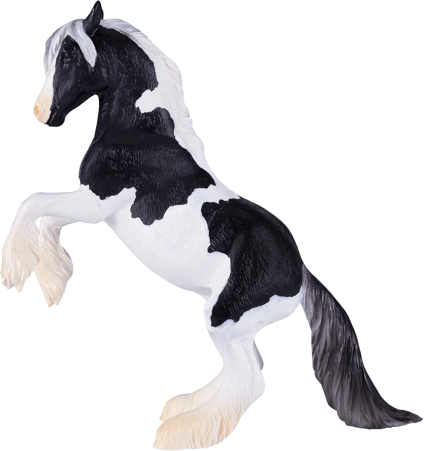 MOJO - Irish Cob Stallion