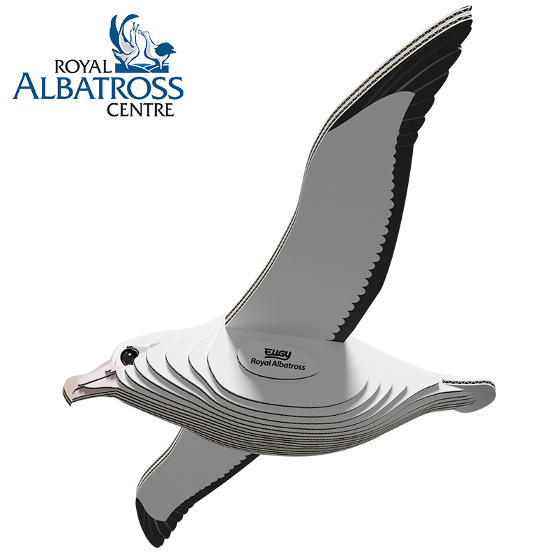 EUGY Royal Albatross