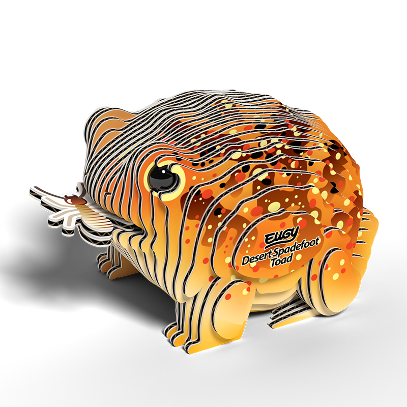 EUGY Desert Spadefoot Toad