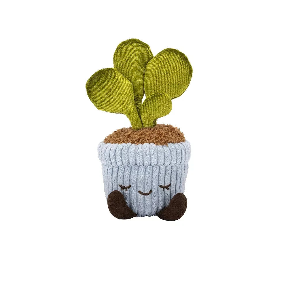 Greenhouse by Russ - Felicity The Rubber Tree