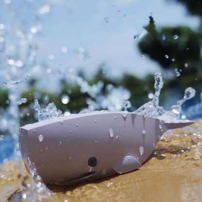 Halftoys Picture book - Sperm Whale