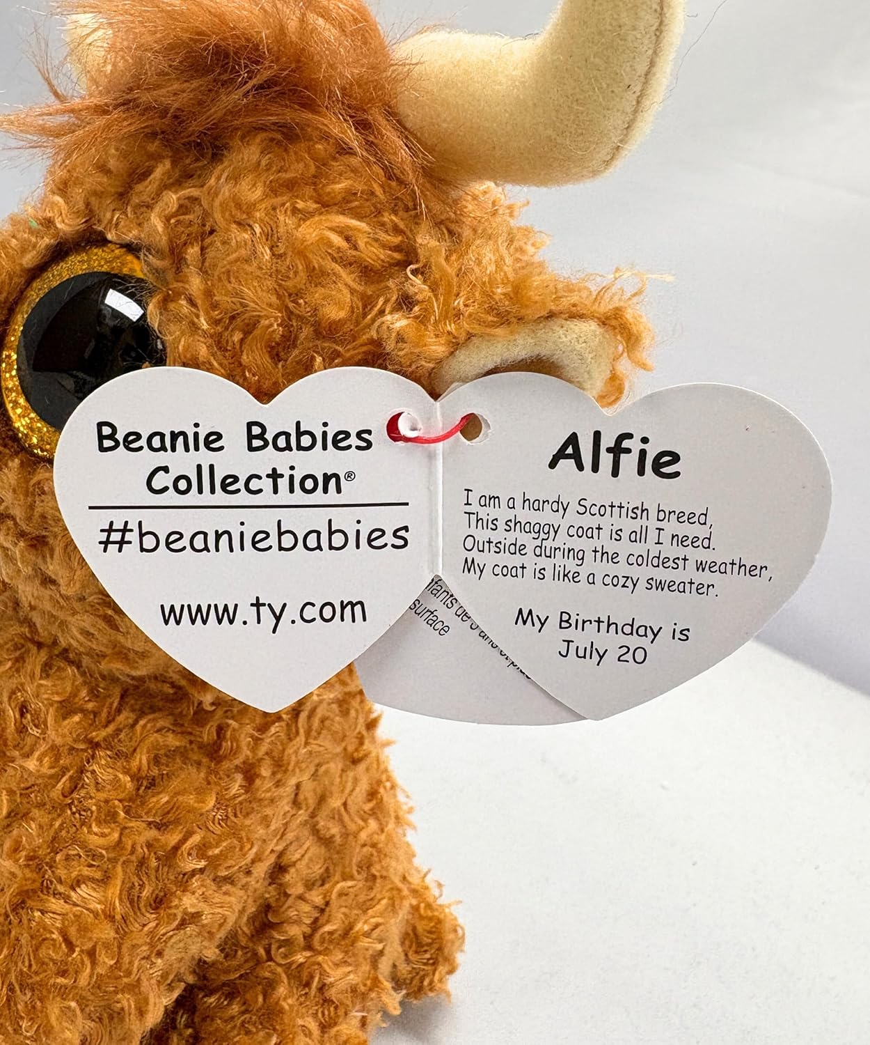 Ty Alfie Highland Cow -Beanie Boos - Regular