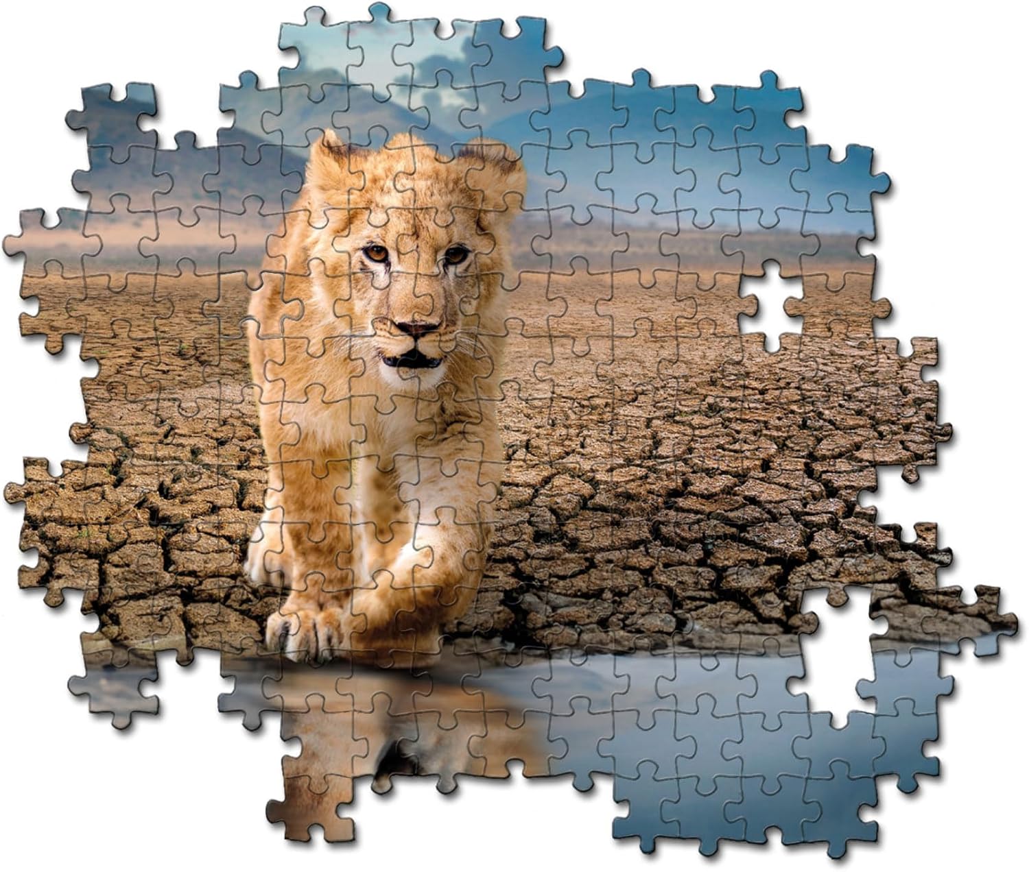 Clementoni Slef Reflection 300 Piece Super Puzzle